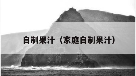 自制果汁（家庭自制果汁）