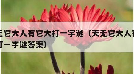 天无它大人有它大打一字谜（天无它大人有它大打一字谜答案）
