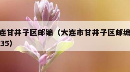 大连甘井子区邮编（大连市甘井子区邮编116035）