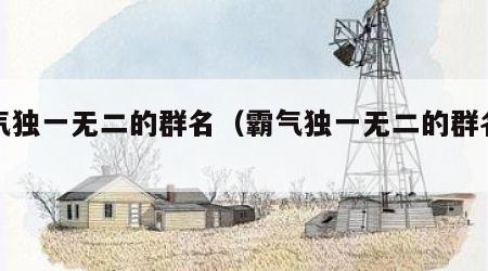 霸气独一无二的群名（霸气独一无二的群名英文）
