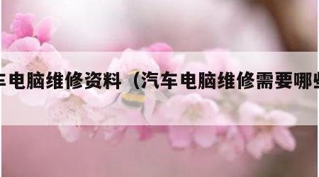 汽车电脑维修资料（汽车电脑维修需要哪些设备）