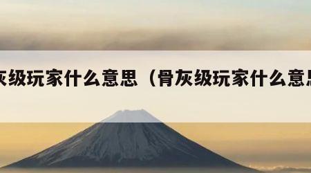 骨灰级玩家什么意思（骨灰级玩家什么意思啊）