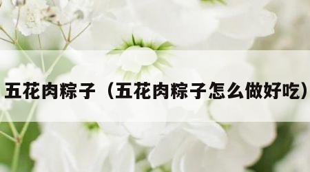 五花肉粽子（五花肉粽子怎么做好吃）