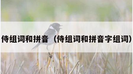 侍组词和拼音（侍组词和拼音字组词）