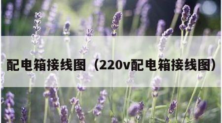 配电箱接线图（220v配电箱接线图）