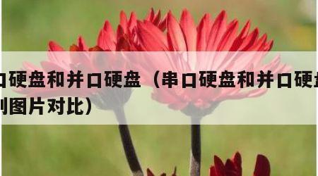 串口硬盘和并口硬盘（串口硬盘和并口硬盘的区别图片对比）
