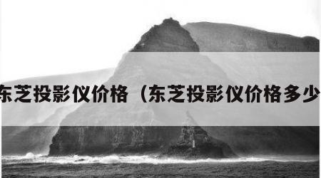 东芝投影仪价格（东芝投影仪价格多少）