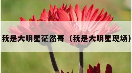 我是大明星茫然哥（我是大明星现场）