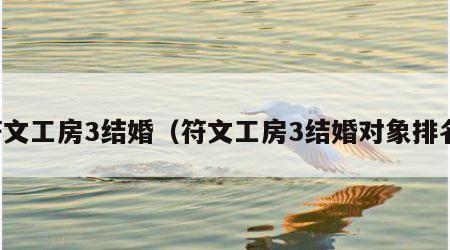 符文工房3结婚（符文工房3结婚对象排名）