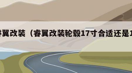 睿翼改装（睿翼改装轮毂17寸合适还是18）