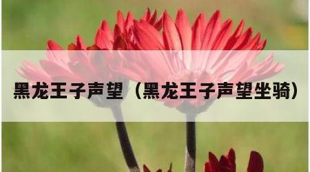 黑龙王子声望（黑龙王子声望坐骑）