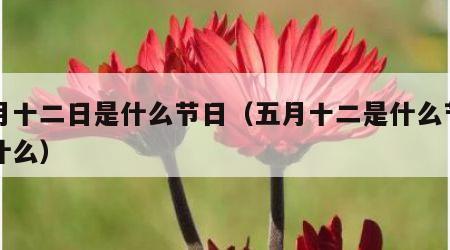 五月十二日是什么节日（五月十二是什么节日干什么）