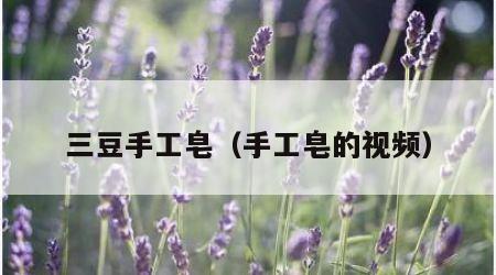 三豆手工皂（手工皂的视频）