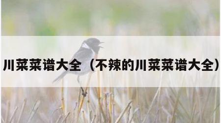 川菜菜谱大全（不辣的川菜菜谱大全）
