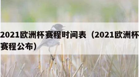 2021欧洲杯赛程时间表（2021欧洲杯赛程公布）