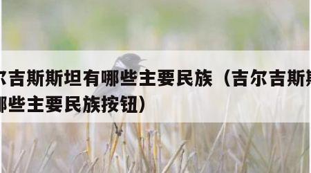 吉尔吉斯斯坦有哪些主要民族（吉尔吉斯斯坦有哪些主要民族按钮）