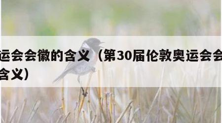 奥运会会徽的含义（第30届伦敦奥运会会徽的含义）