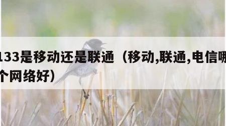133是移动还是联通（移动,联通,电信哪个网络好）