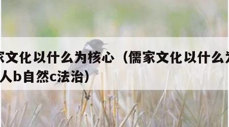 儒家文化以什么为核心（儒家文化以什么为核心a人b自然c法治）