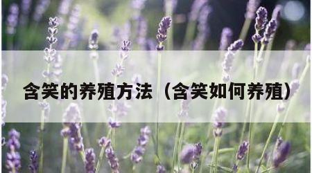 含笑的养殖方法（含笑如何养殖）