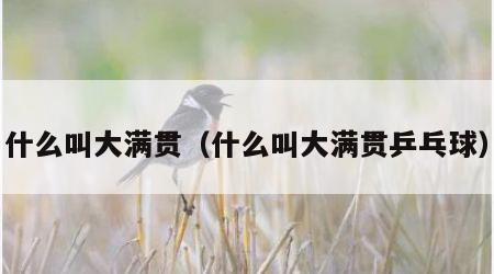 什么叫大满贯（什么叫大满贯乒乓球）