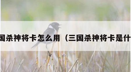 三国杀神将卡怎么用（三国杀神将卡是什么）