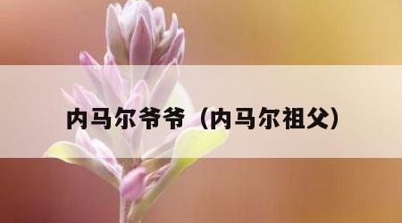 内马尔爷爷（内马尔祖父）