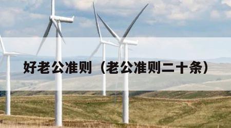 好老公准则（老公准则二十条）