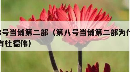 第8号当铺第二部（第八号当铺第二部为什么没有杜德伟）