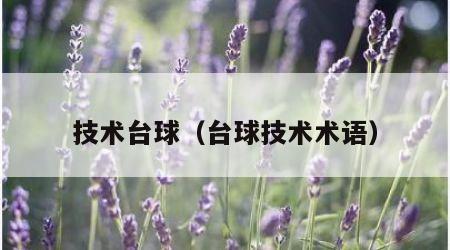 技术台球（台球技术术语）