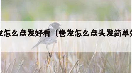卷发怎么盘发好看（卷发怎么盘头发简单好看）