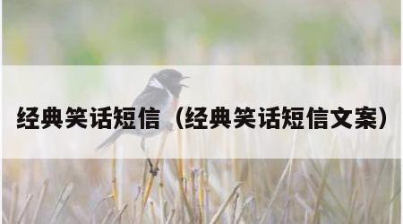 经典笑话短信（经典笑话短信文案）