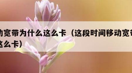 移动宽带为什么这么卡（这段时间移动宽带怎么这么卡）