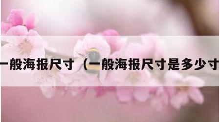 一般海报尺寸（一般海报尺寸是多少寸）