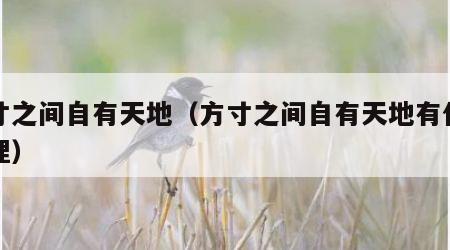 方寸之间自有天地（方寸之间自有天地有什么哲理）