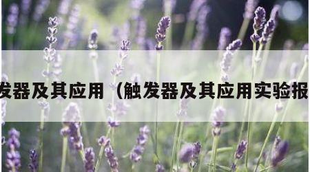 触发器及其应用（触发器及其应用实验报告）
