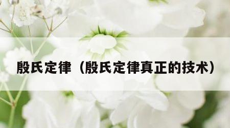 殷氏定律（殷氏定律真正的技术）