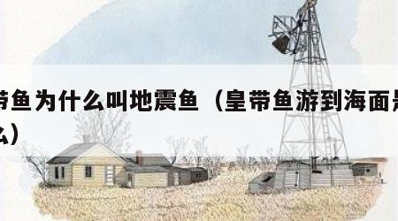 皇带鱼为什么叫地震鱼（皇带鱼游到海面是为什么）
