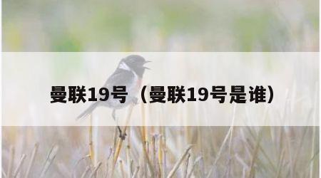 曼联19号（曼联19号是谁）