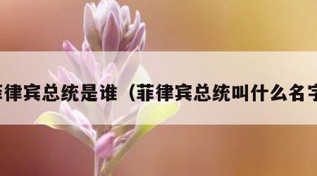 菲律宾总统是谁（菲律宾总统叫什么名字）