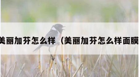 美丽加芬怎么样（美丽加芬怎么样面膜）