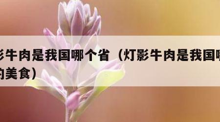 灯影牛肉是我国哪个省（灯影牛肉是我国哪个省的美食）