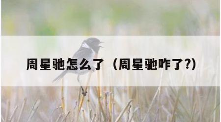 周星驰怎么了（周星驰咋了?）