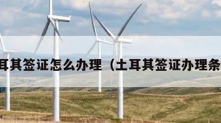 土耳其签证怎么办理（土耳其签证办理条件）