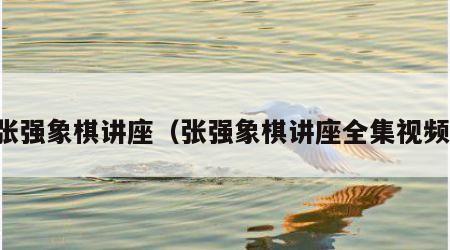 张强象棋讲座（张强象棋讲座全集视频）