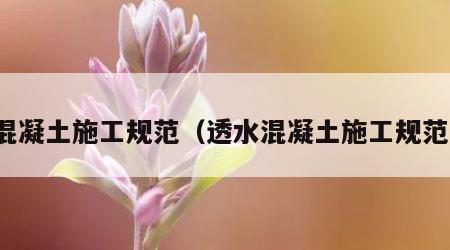 混凝土施工规范（透水混凝土施工规范）