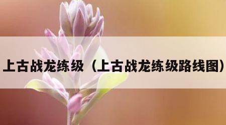 上古战龙练级（上古战龙练级路线图）