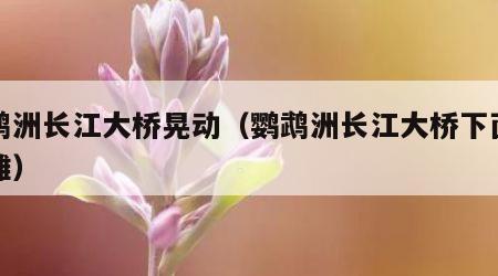 鹦鹉洲长江大桥晃动（鹦鹉洲长江大桥下面的江滩）
