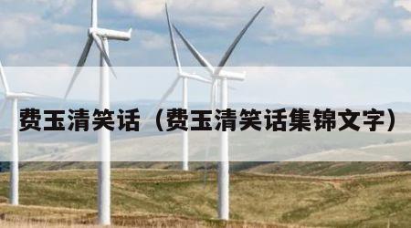 费玉清笑话（费玉清笑话集锦文字）
