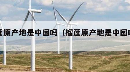 榴莲原产地是中国吗（榴莲原产地是中国吗知乎）